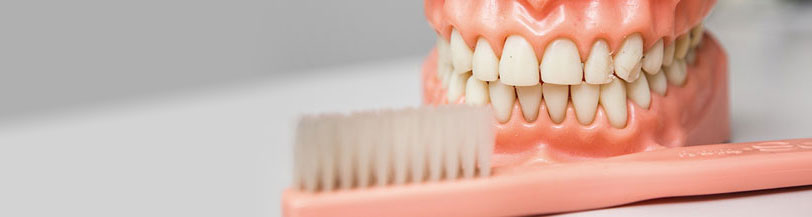 mold of teeth and a toothbrush